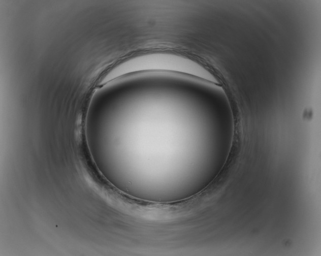 X0000116810024200912181355