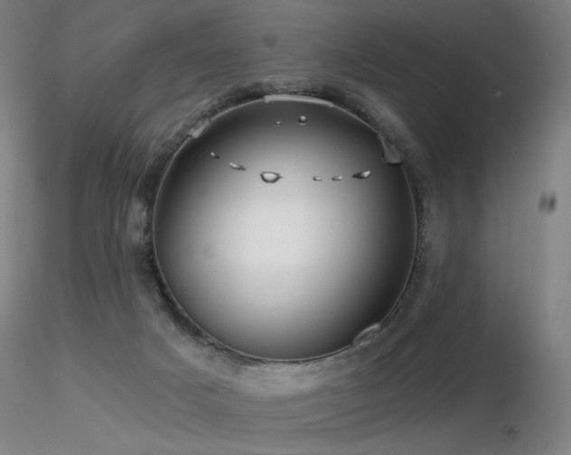 X0000116810025200912181355