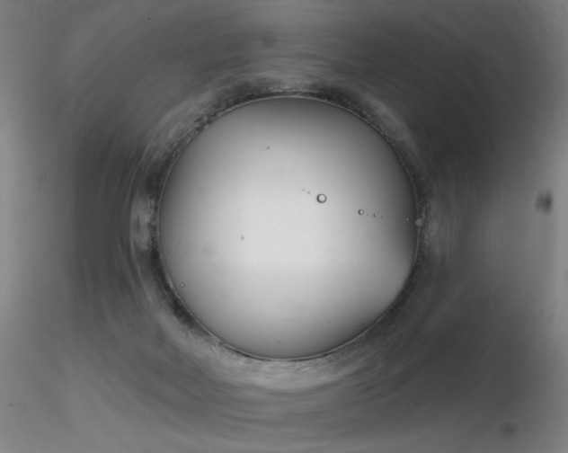 X0000116810026200912181355