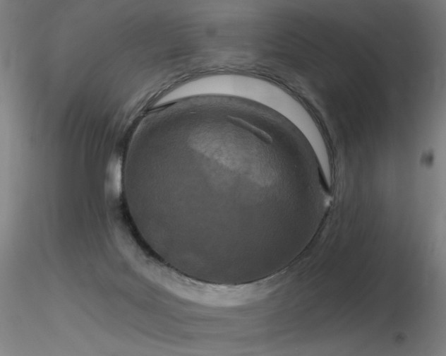 X0000116810027200912181355