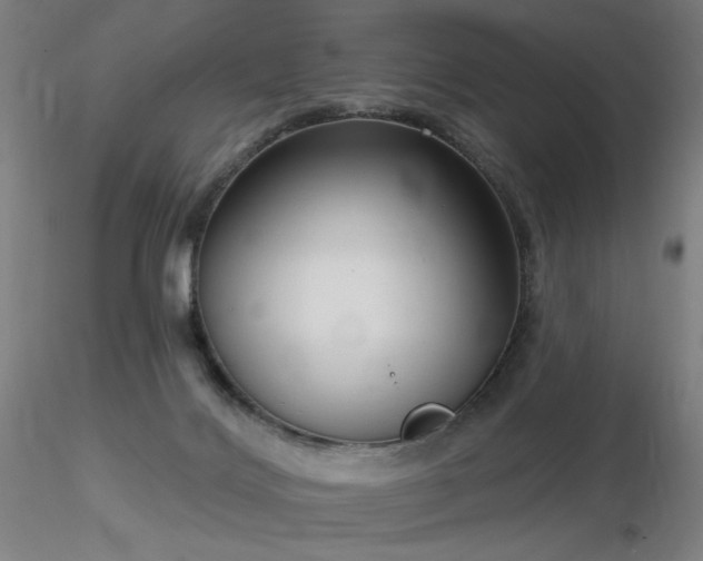 X0000116810028200912181355