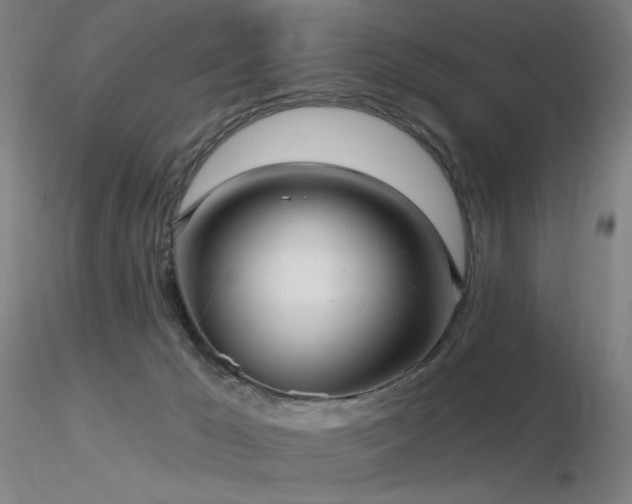 X0000116810029200912181355