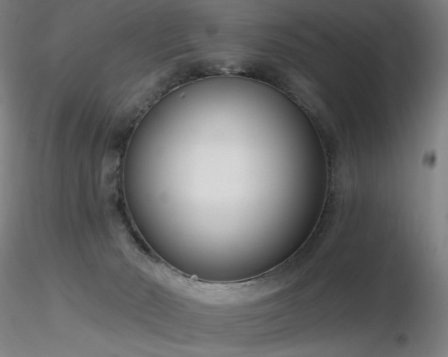 X0000116810030200912181355