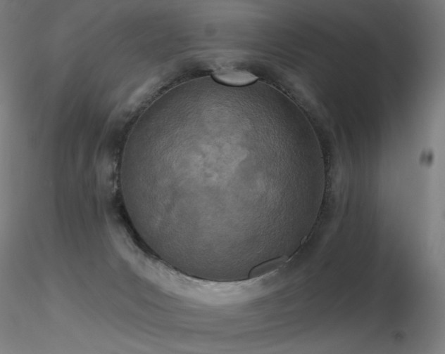 X0000116810031200912181355