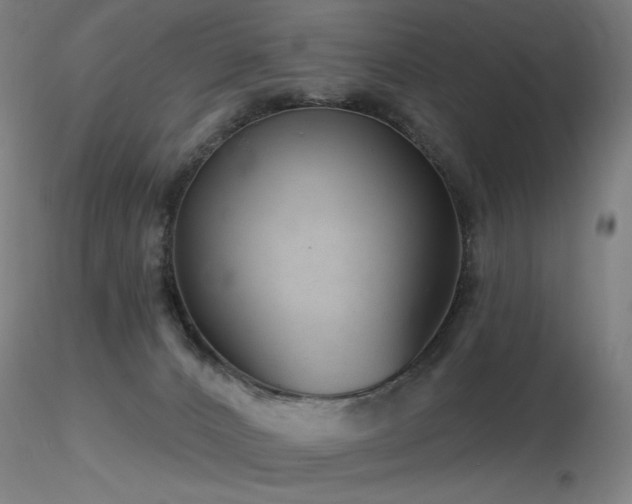 X0000116810032200912181355