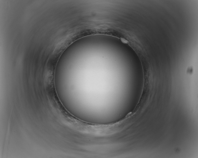 X0000116810033200912181355