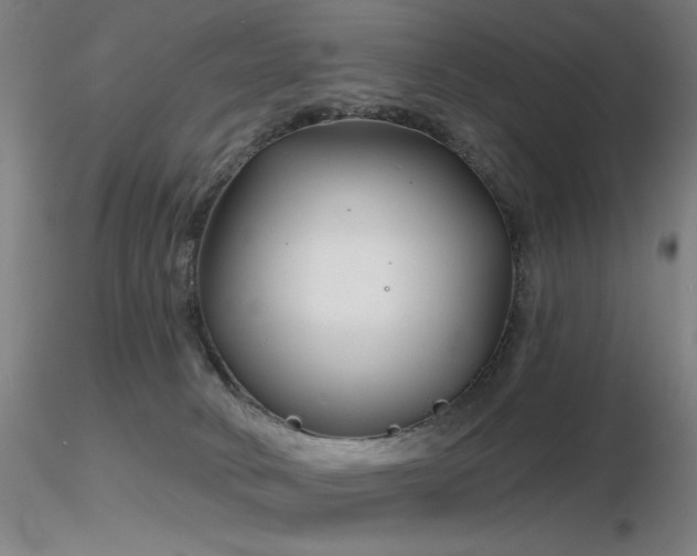 X0000116810034200912181355