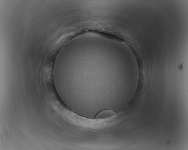 X0000116810035200912181355