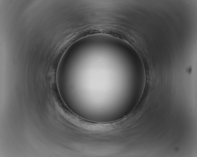 X0000116810036200912181355