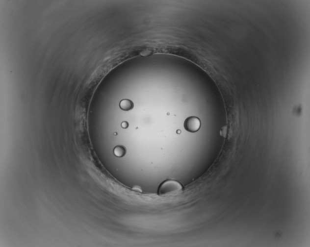 X0000116810038200912181355