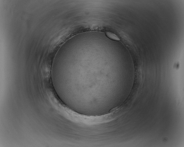 X0000116810039200912181355