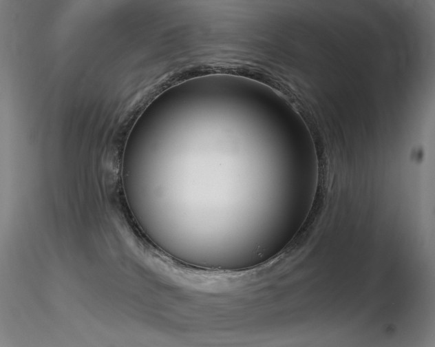 X0000116810040200912181355