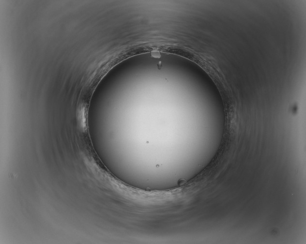 X0000116810042200912181355