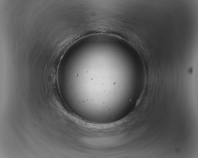 X0000116810043200912181355