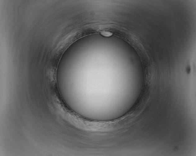 X0000116810044200912181355