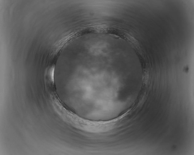 X0000116810047200912181355