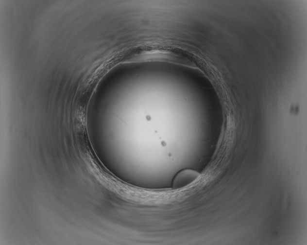 X0000116810048200912181355