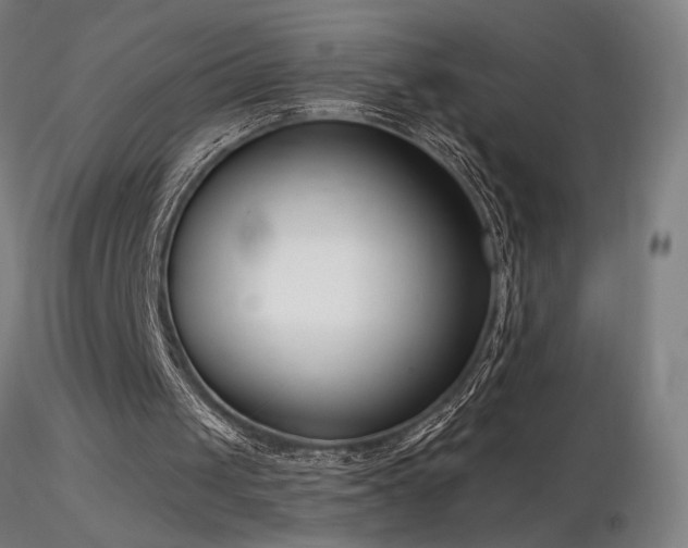 X0000116810049200912181354