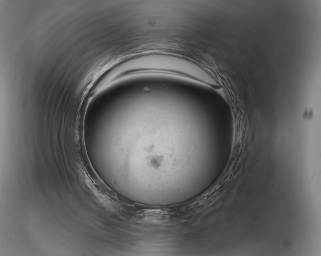 X0000116810050200912181354