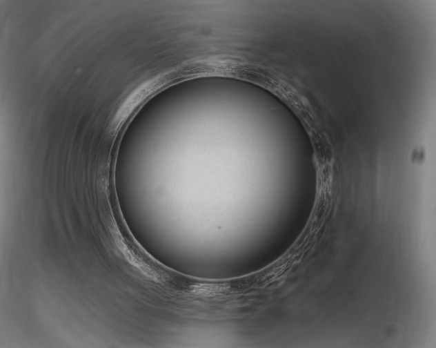 X0000116810051200912181354