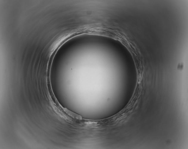 X0000116810052200912181354