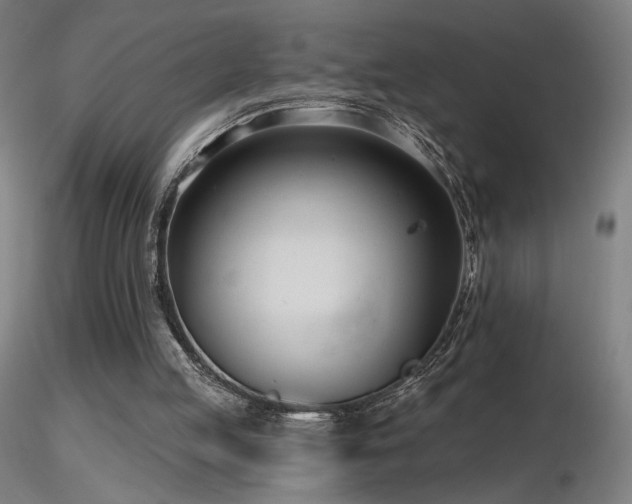 X0000116810053200912181354