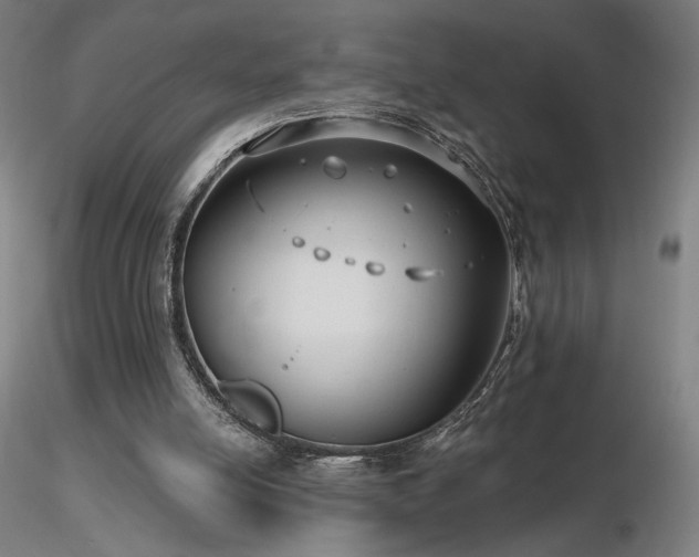 X0000116810054200912181354