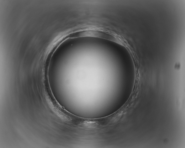 X0000116810055200912181354