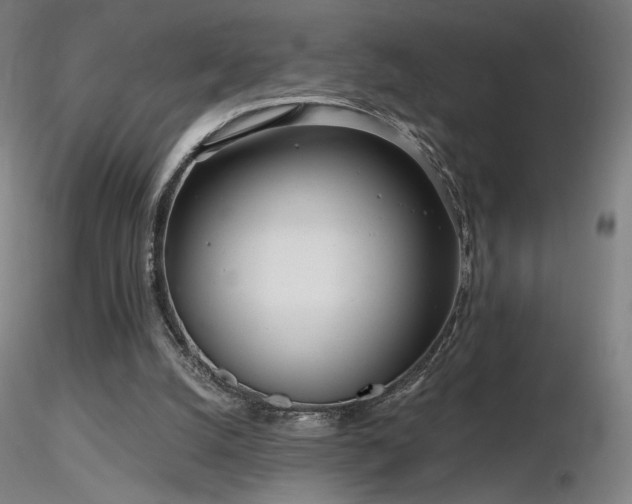 X0000116810056200912181354