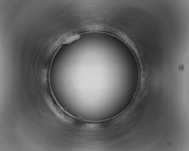 X0000116810057200912181354