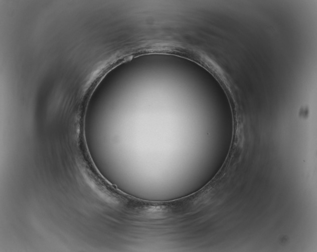 X0000116810059200912181354