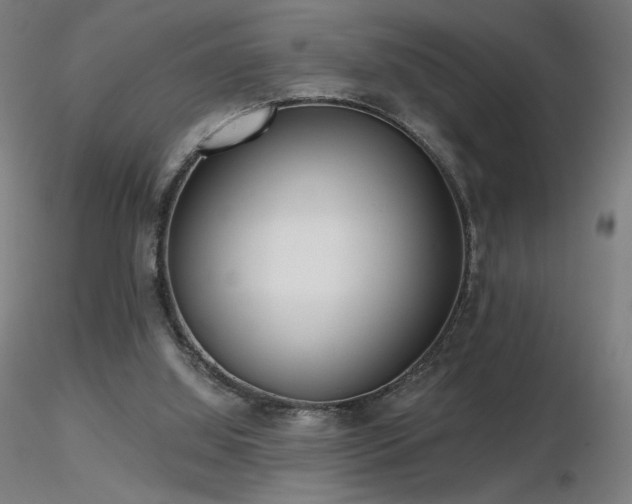 X0000116810060200912181354