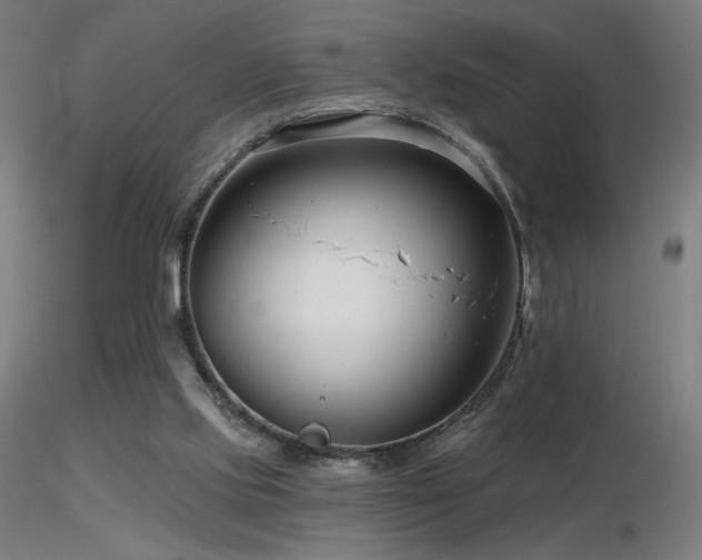 X0000116810061200912181354