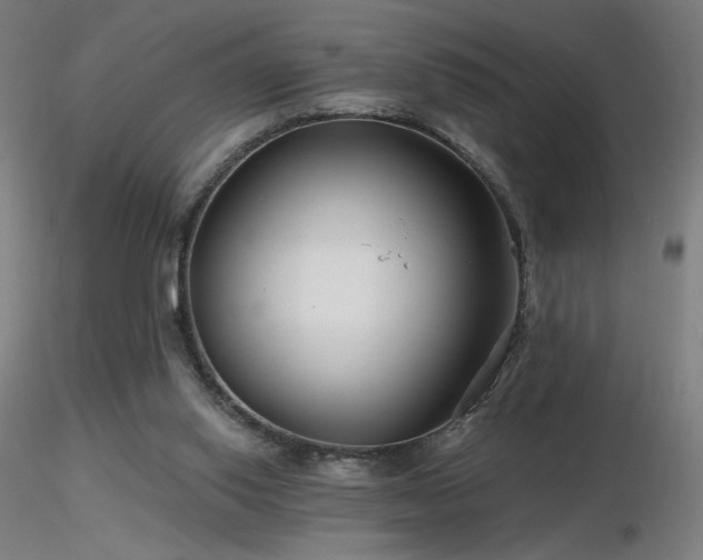 X0000116810062200912181354