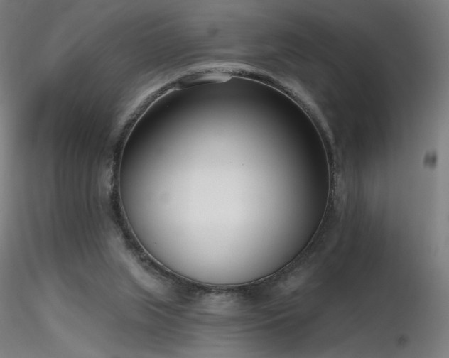 X0000116810063200912181354