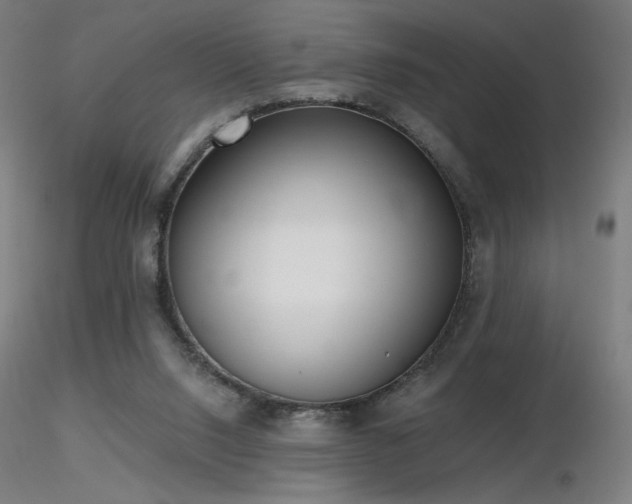 X0000116810064200912181354