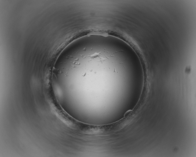 X0000116810065200912181354