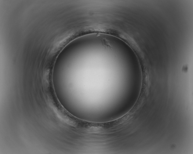 X0000116810066200912181354