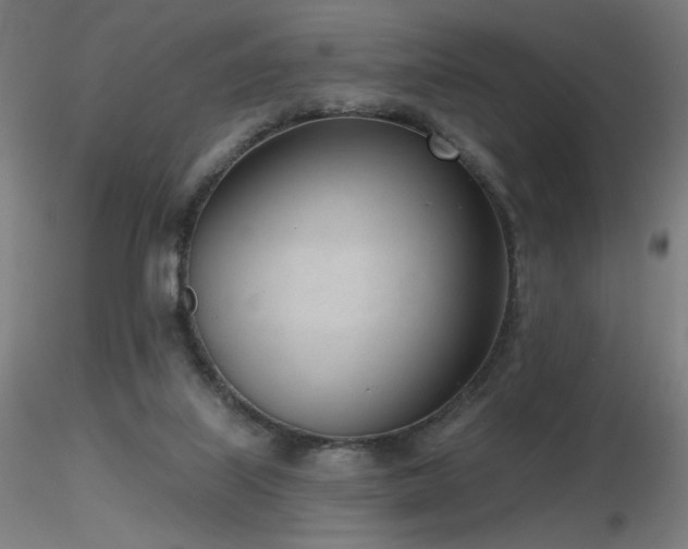 X0000116810067200912181354