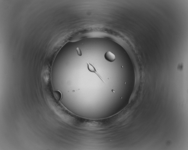 X0000116810069200912181354