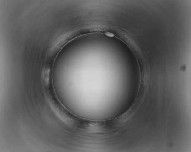 X0000116810070200912181354