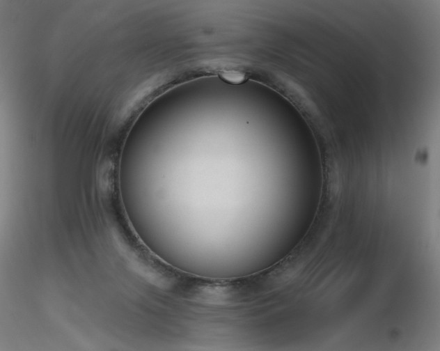 X0000116810071200912181354