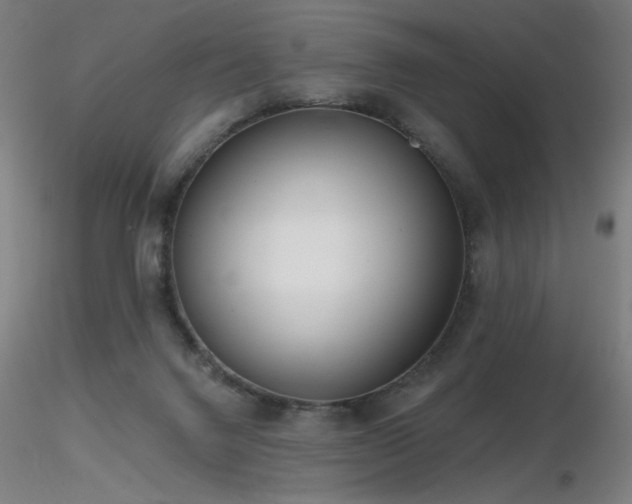 X0000116810072200912181354