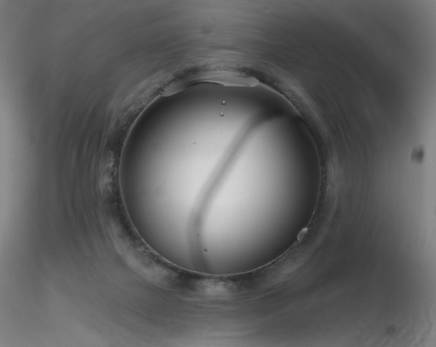 X0000116810073200912181354