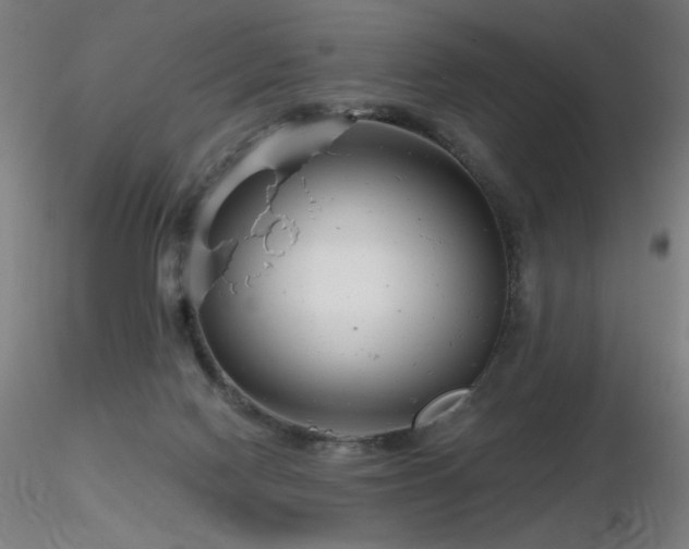 X0000116810074200912181354