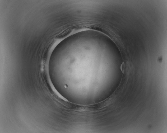 X0000116810075200912181354