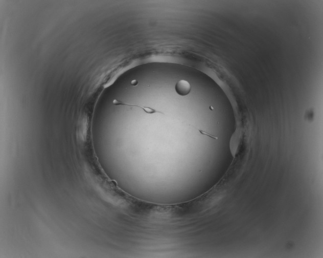 X0000116810076200912181354