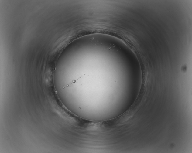 X0000116810077200912181354