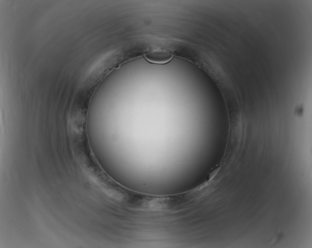 X0000116810078200912181354