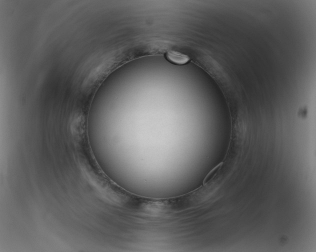 X0000116810079200912181354